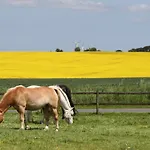 Thommysminde Jelling