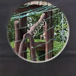 Bed & Breakfast Thommysminde Jelling