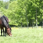 Bed & Breakfast Thommysminde Jelling