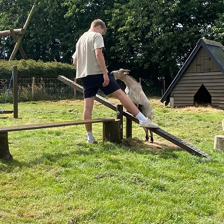 Thommysminde Alojamento de Acomodação e Pequeno-almoço *