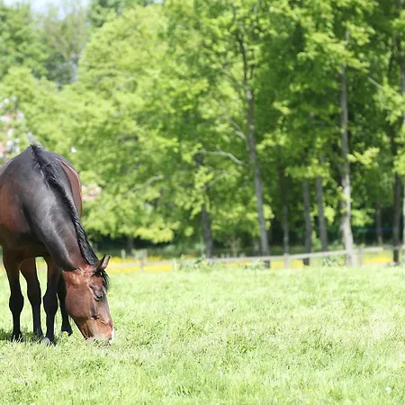 Alojamento de Acomodação e Pequeno-almoço Thommysminde Jelling