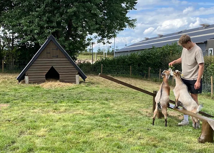 Thommysminde Nocleg ze śniadaniem Jelling