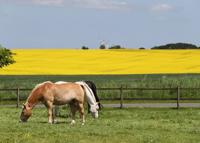 Thommysminde Jelling