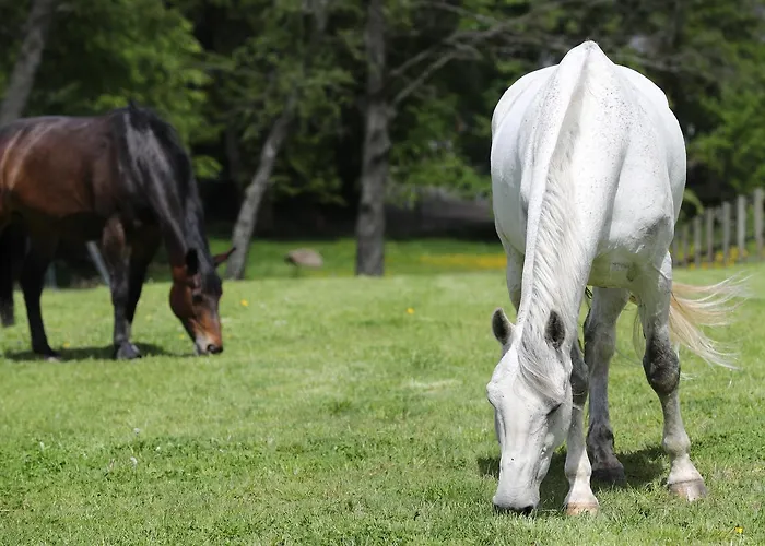 Thommysminde * Jelling