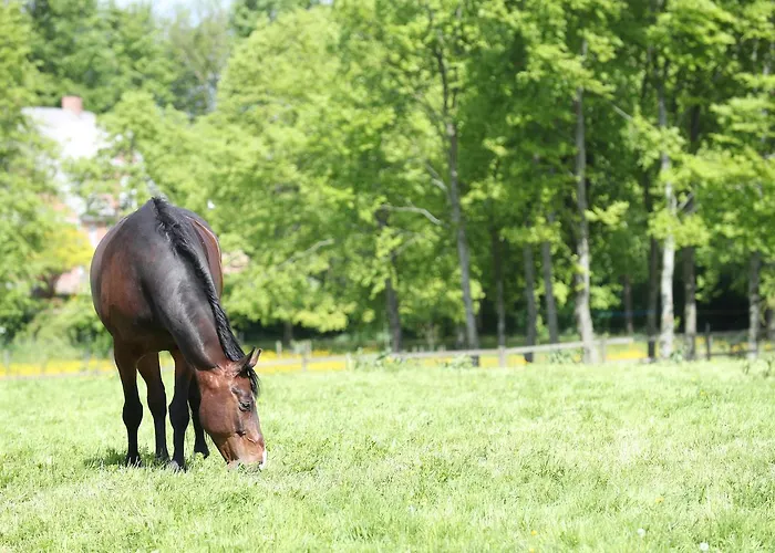 Alojamento de Acomodação e Pequeno-almoço Thommysminde Jelling